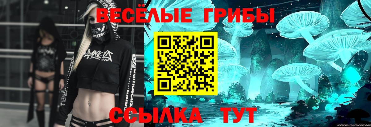 Благовещенск  Псилоцибиновые грибы MAGIC MUSHROOMS  Вход с VPN 